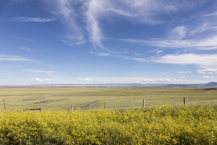 The Laramie Plains, South of Laramie